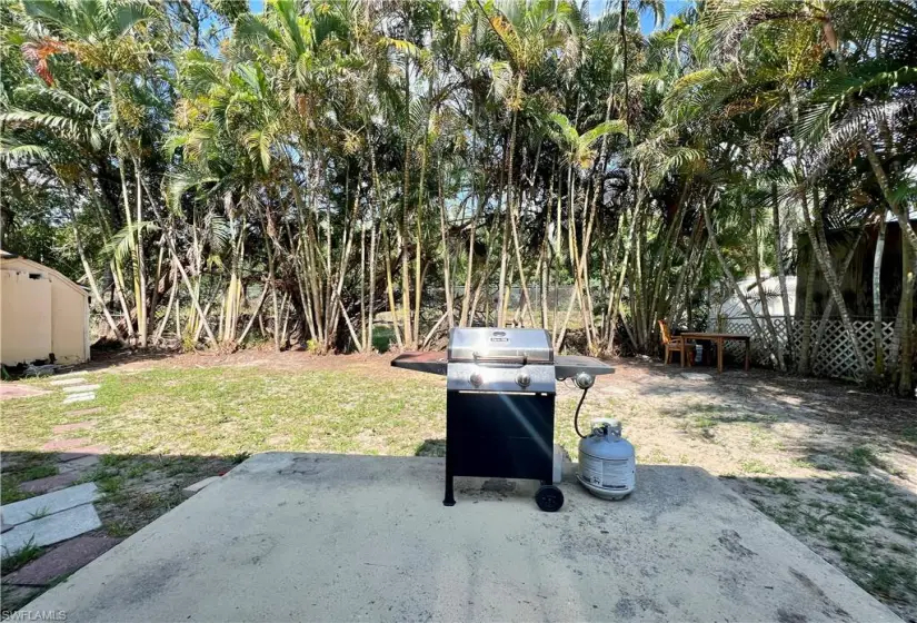 View of yard with a patio area